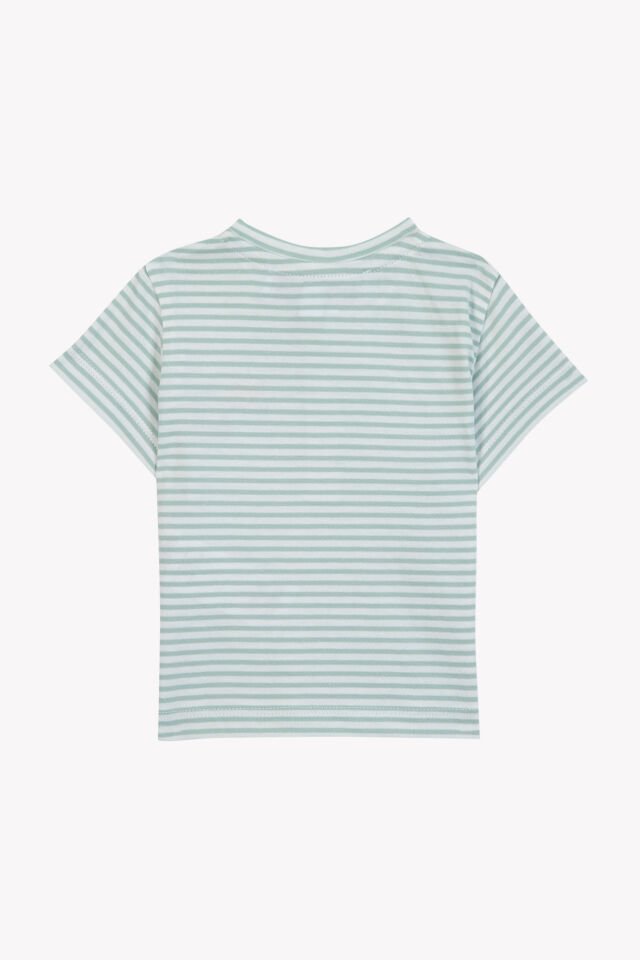 Kısa Kollu Çizgili T.Shirt Sauge - Soft yeşil - 4Y