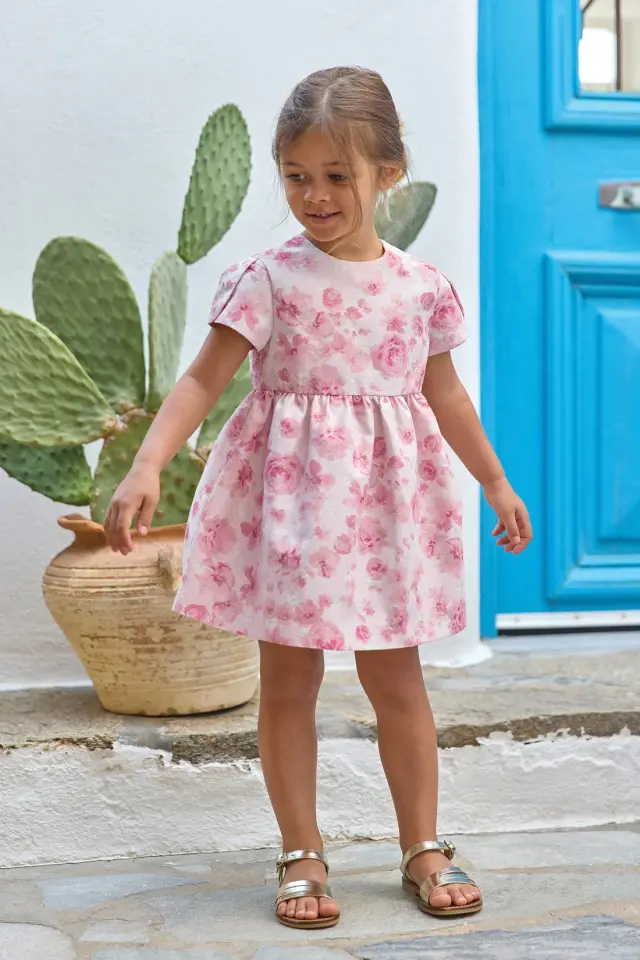 Ceremonie Jakarlı Bebek Elbise Rose pâle - 2Y